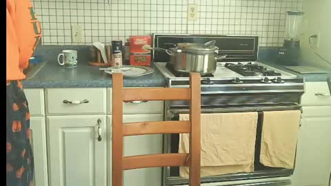 Snapshot of raylene4u2 chatting on 12.02.24 Ray online show from 12.02.24