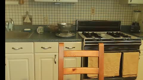 Snapshot of raylene4u2 chatting on 12.28.24 Ray online show from 12.28.24