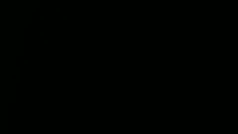 Ray online show from 12.29.24