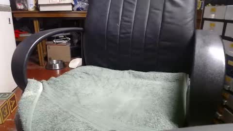 Ray online show from 12.31.24