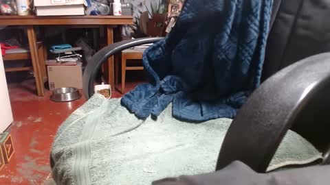 Ray online show from 01.01.25