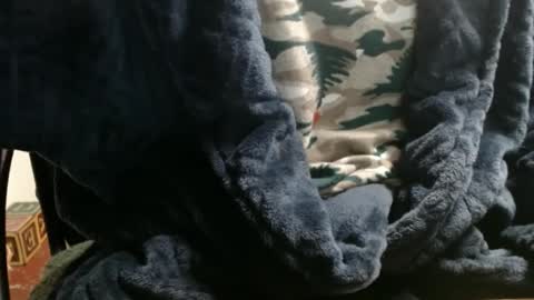 Ray online show from 01.07.25