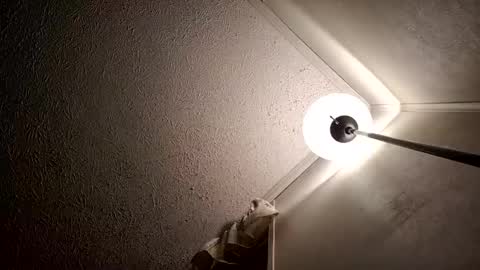 Snapshot of razalgirls chatting on 11.15.25 razalgirls online show from 11.15.25