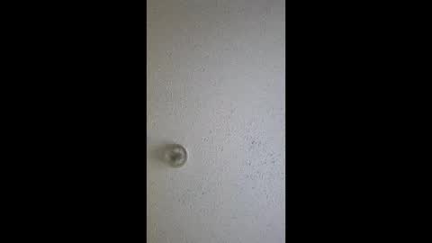 Snapshot of razalgirls chatting on 03.03.26 razalgirls online show from 03.03.26