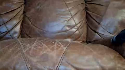 Doyle Wesley Coody III online show from 01.15.26