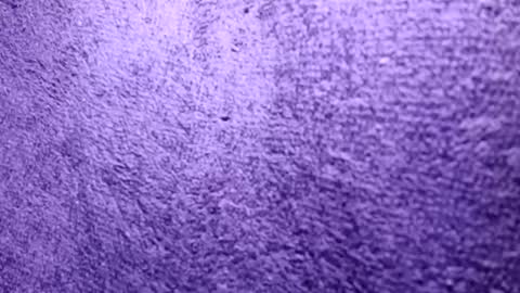 Rasta online show from 10.21.25