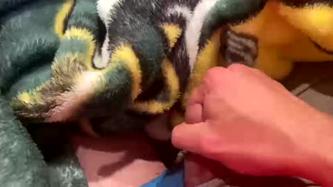 realbigload77 online show from 10.11.25