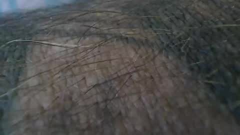 realrubpirate online show from 10.19.25