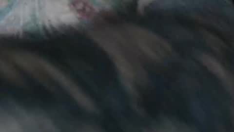 realrubpirate online show from 01.18.26