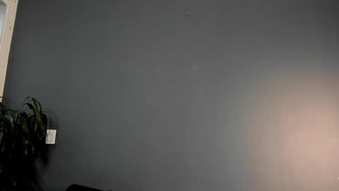 twitter REECET26 instagram RECCETAYLOR online show from 03.01.25