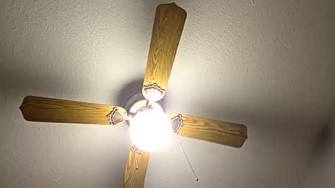 red24devils online show from 09.12.25