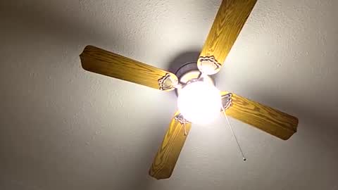 red24devils online show from 09.22.25