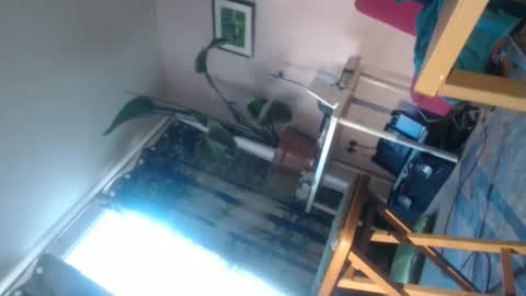 red69600986270 online show from 06.08.26