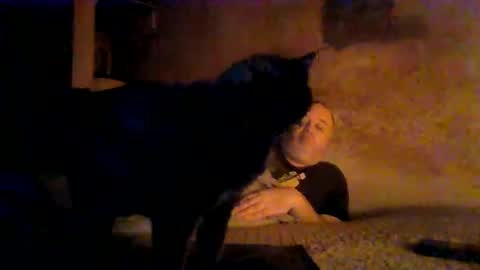 reddragon1195 online show from 04.04.26