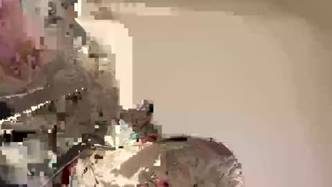 Ali j online show from 04.30.26
