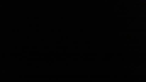 redorchard online show from 11.14.25