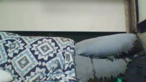 reese960384 online show from 01.11.26