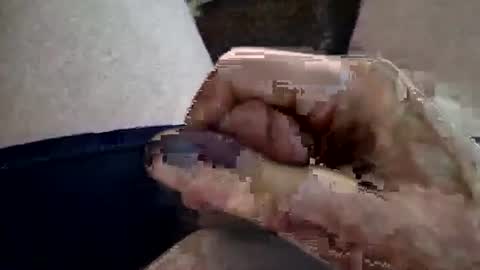 reggie007007 online show from 02.16.26