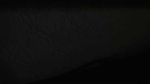 regpubes online show from 01.09.26