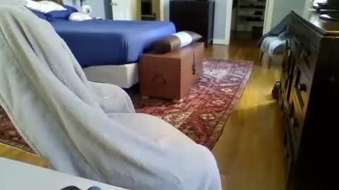 RegularGuyNOLA online show from 01.24.25