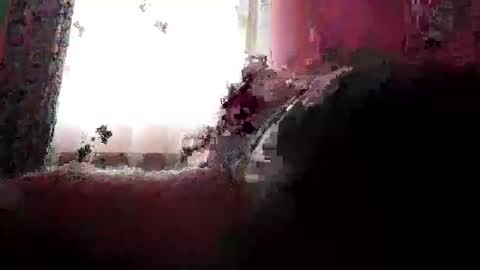 Snapshot of remus60 chatting on 02.23.26 remus60 online show from 02.23.26