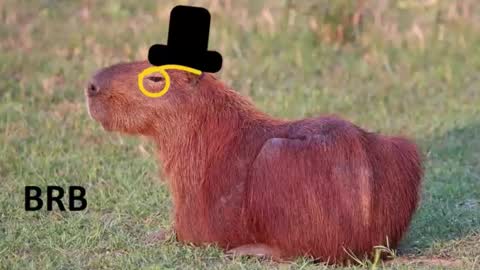 Chris online show from 01.16.26