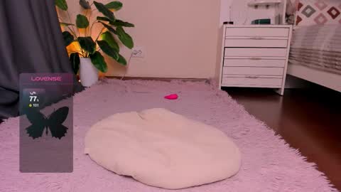 Rein online show from 11.28.25