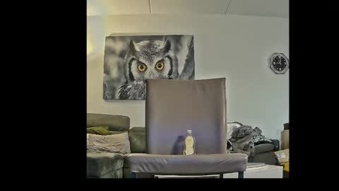Snapshot of richard__076__ chatting on 04.03.26 richard__076__ online show from 04.03.26