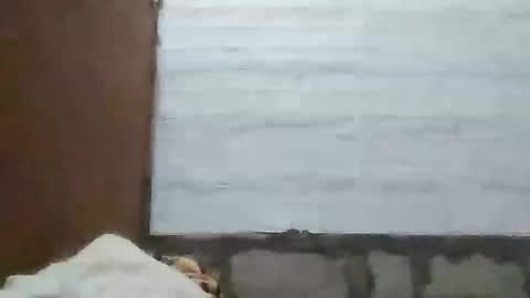 Snapshot of richebelle chatting on 05.10.26 richebelle online show from 05.10.26