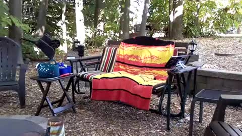 PINK HOLE TWINK online show from 09.14.25