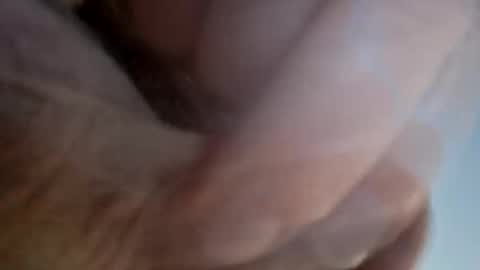 ridik2222333375562 online show from 04.13.26