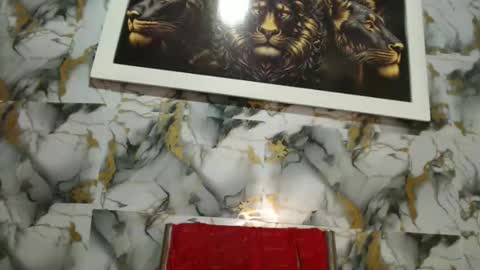 rigel online show from 02.24.26