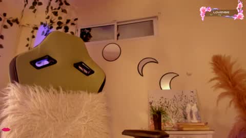 Independent model online show from 12.17.24