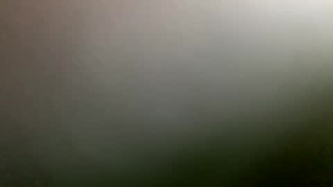 rimzari136 online show from 04.04.26