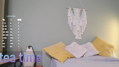 Snapshot of rinassecret chatting on 12.27.24 Rina online show from 12.27.24