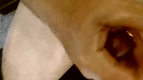 risingphoenix23 online show from 10.13.25