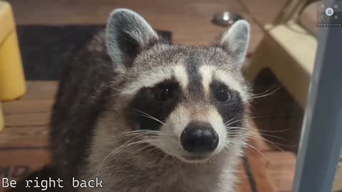 Ryan aka KeylimeRy online show from 02.05.25