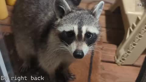 Ryan aka KeylimeRy online show from 09.21.25