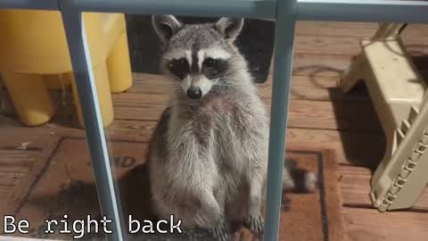 Ryan aka KeylimeRy online show from 12.04.25