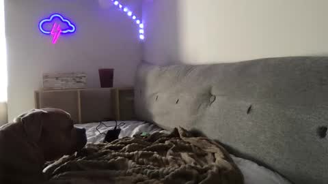 Snapshot of roastingcorn chatting on 01.03.25 RoastingCorn online show from 01.03.25