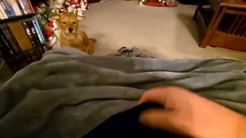 Snapshot of robbiebob6828 chatting on 01.09.26 robbiebob6828 online show from 01.09.26