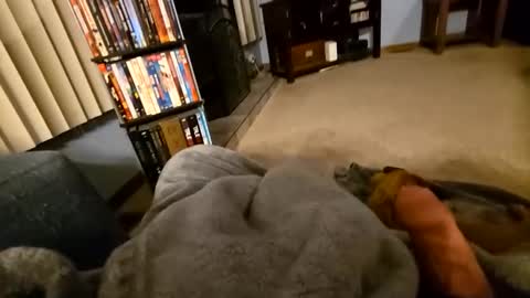 Snapshot of robbiebob6828 chatting on 03.02.26 robbiebob6828 online show from 03.02.26