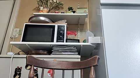 robke1966 online show from 04.06.26