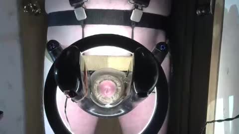 Robodickmilker online show from 02.01.25