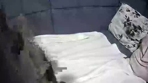 roccosan online show from 10.04.25