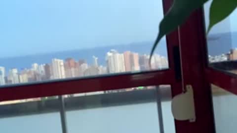 rogerbenid81 online show from 04.27.26