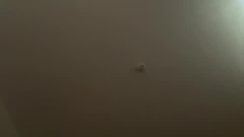 rogue1st222 online show from 02.03.25