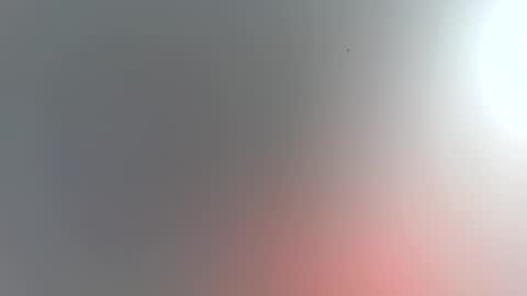 Trinked online show from 11.15.25