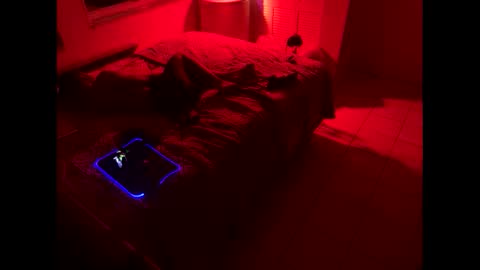 romeotyn online show from 02.21.25