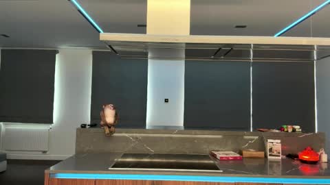 Ketlyn  is here now  help me get 50 thumbs up pls  online show from 04.02.26